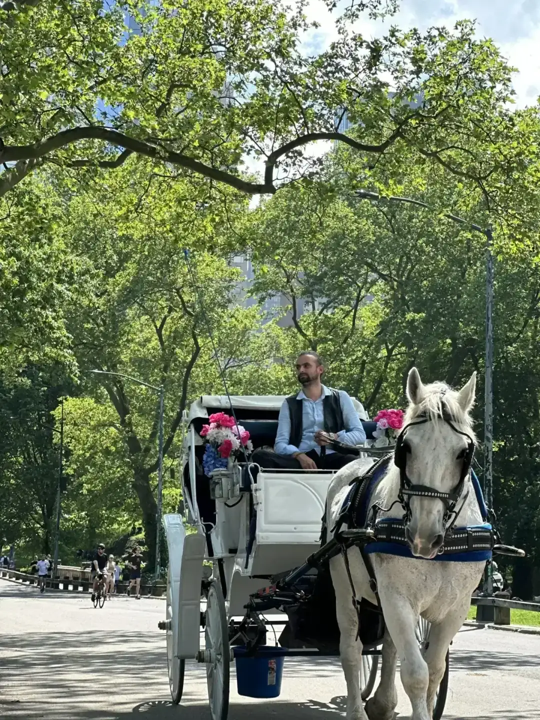 Central Park carriage ride at golden hour